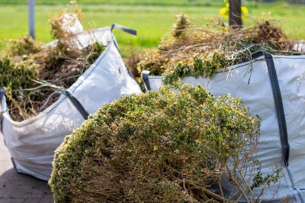 Best Electronics and E-Waste Disposal  in Wenonah, NJ